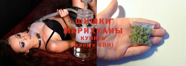 PSILOCYBIN Лихославль