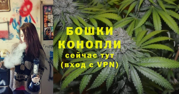 стафф Богданович