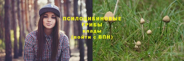 кокс Лабытнанги