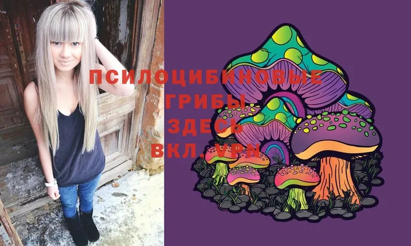 Галлюциногенные грибы MAGIC MUSHROOMS  Владивосток 