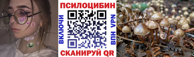 Псилоцибиновые грибы мухоморы  Владивосток 
