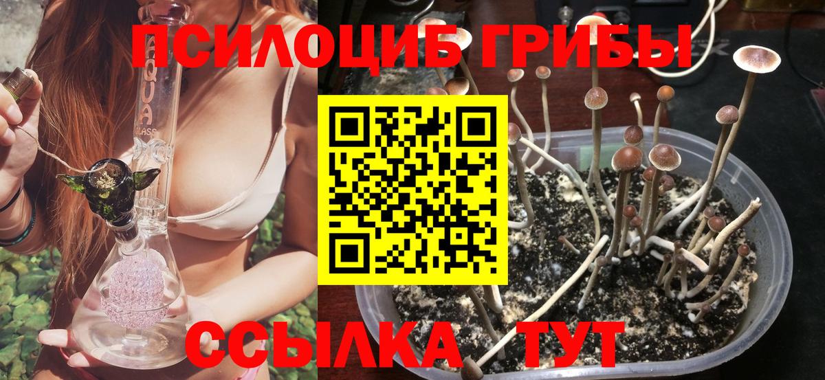 Владивосток  цена наркотик  Вход с VPN  Псилоцибиновые грибы GOLDEN TEACHER 