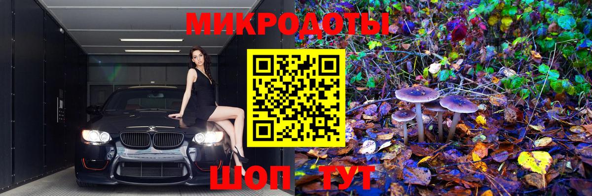Галлюциногенные грибы мицелий Владивосток