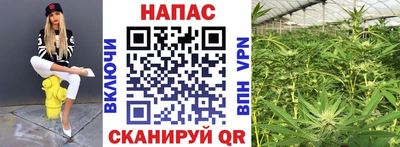Марихуана ГИДРОПОН  как найти закладки  Владивосток 